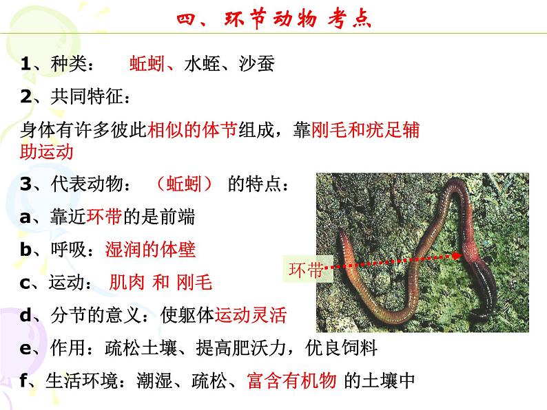 八上期末各章节考点归纳课件PPT第4页