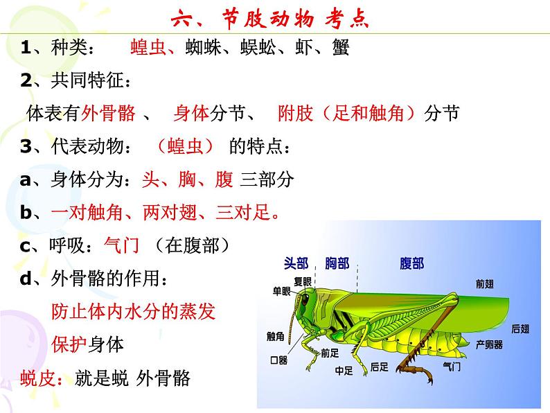 八上期末各章节考点归纳课件PPT第6页