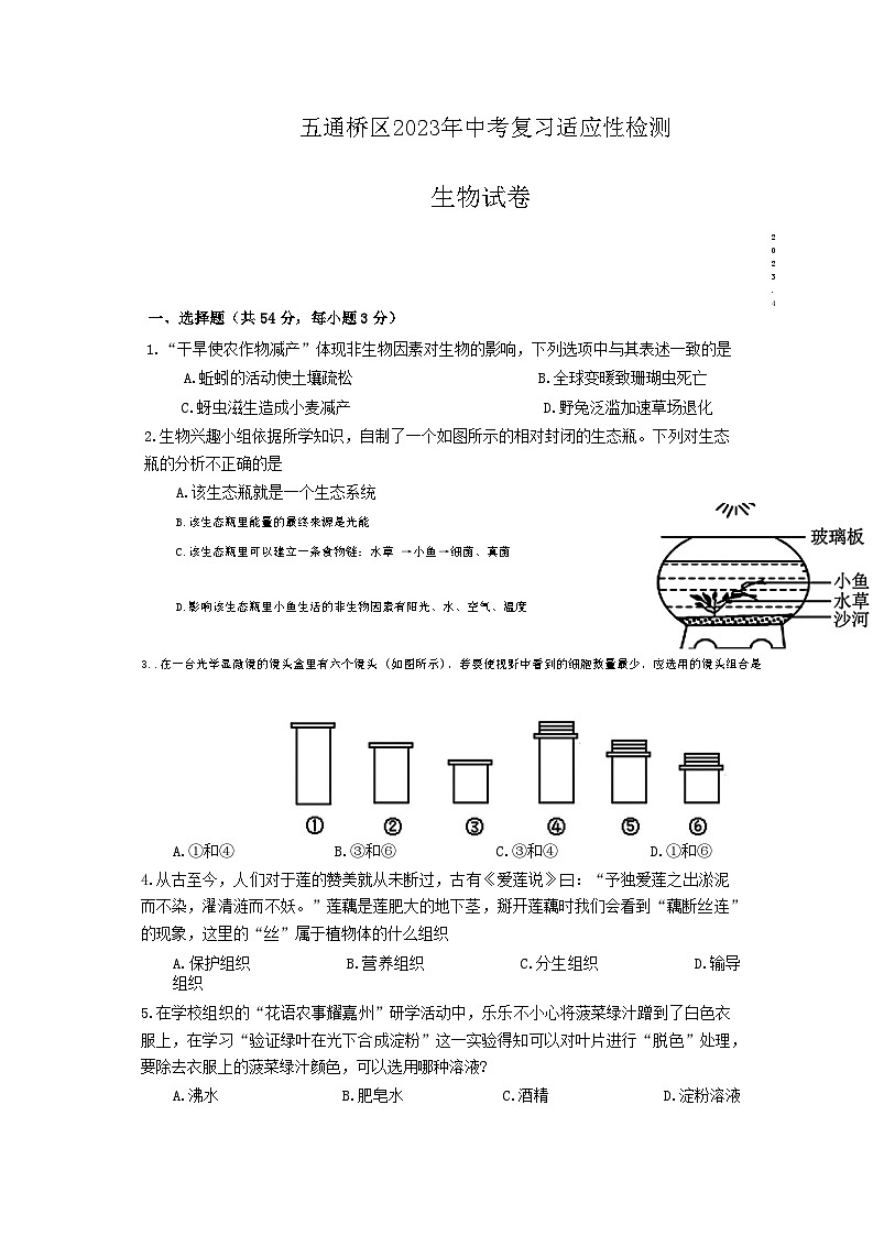 2023年四川省乐山市五通桥区初中学业水平适应性考试生物试题01