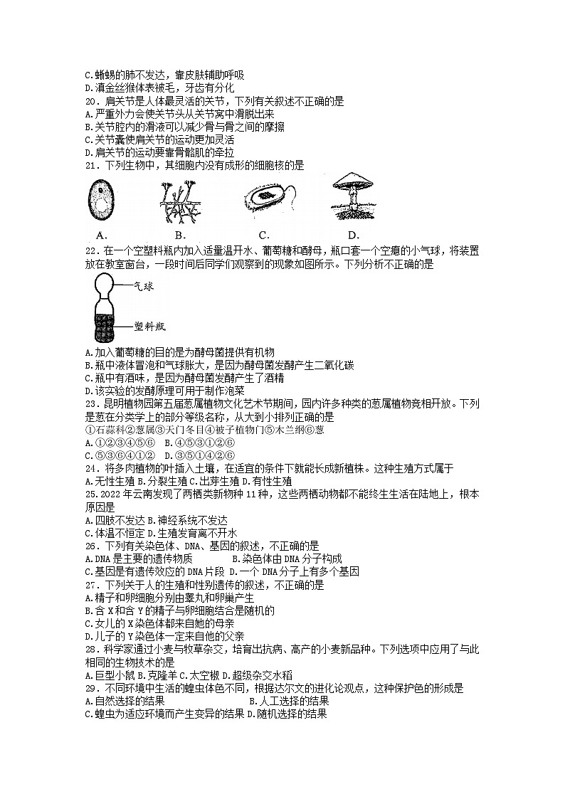 2023年云南省昆明市盘龙区初中学业水平考试质量检测生物试题第3页