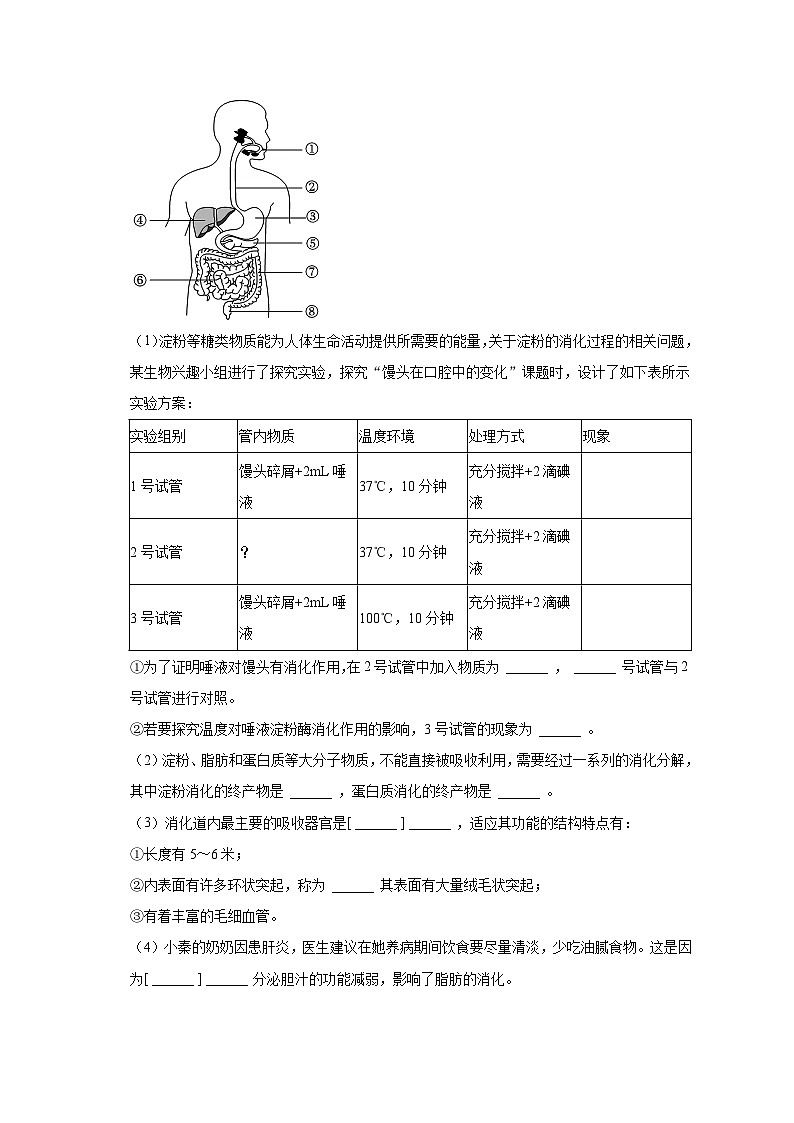 2022-2023学年黑龙江省哈尔滨市巴彦县七年级（下）期中生物试卷（含解析）第3页