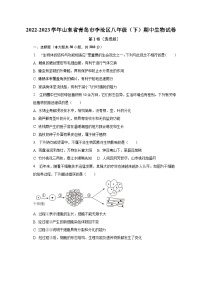 2022-2023学年山东省青岛市李沧区八年级（下）期中生物试卷（含解析）