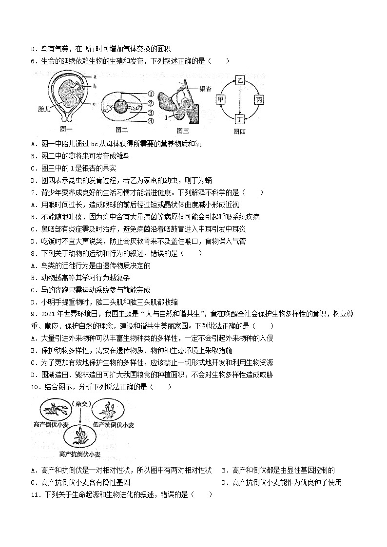 2023年辽宁省凤城市中考一模生物试题(含答案)02