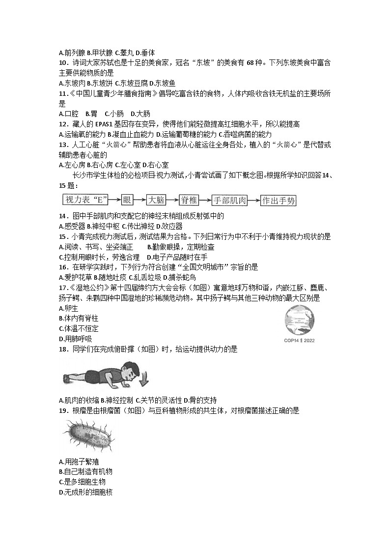 2023年湖南省长沙市二模生物试题(含答案)第2页