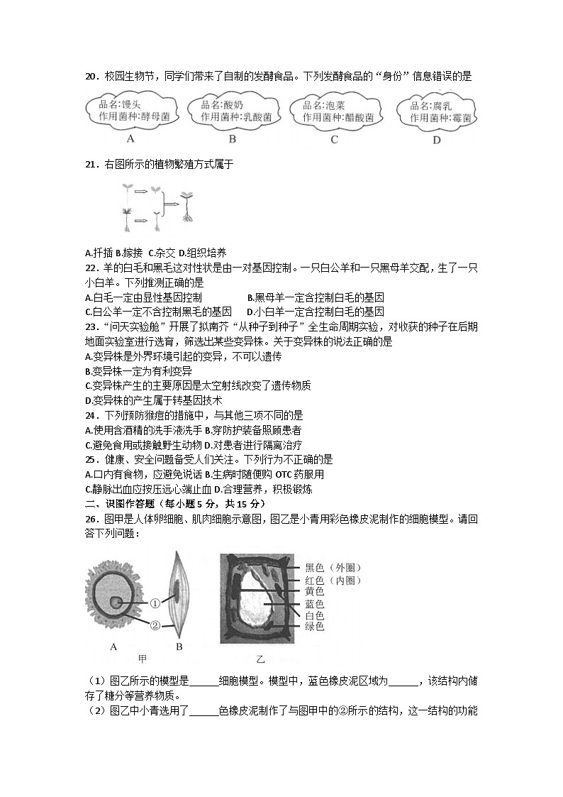 2023年湖南省长沙市二模生物试题(含答案)第3页