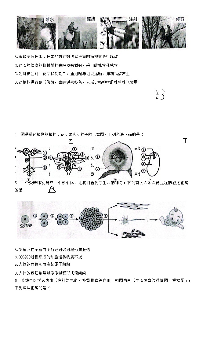 2023年山东省东营市第二次模拟生物试题(含答案)02
