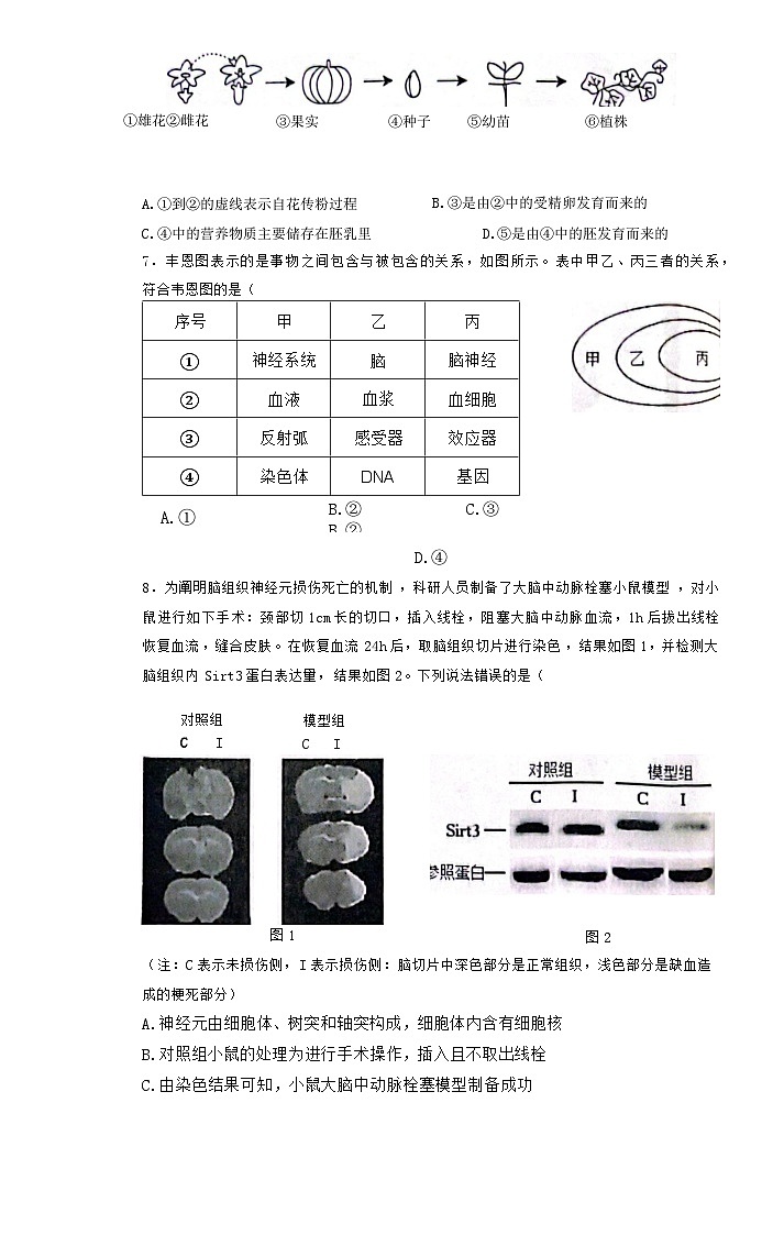 2023年山东省东营市第二次模拟生物试题(含答案)03