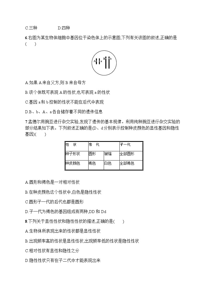 人教版(精编)初中生物八年级下册第一单元第二章第三节基因的显性和隐性练习含答案02