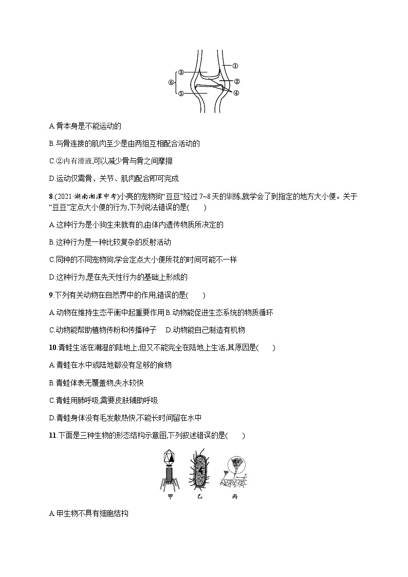 人教版(精编)初中生物八年级上册期末综合训练(二)含答案第2页