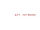 人教版初中生物八年级下册第七单元第一章第四节鸟的生殖和发育练习课件