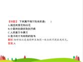人教版初中生物八年级下册第七单元第二章第一节基因控制生物的性状练习课件