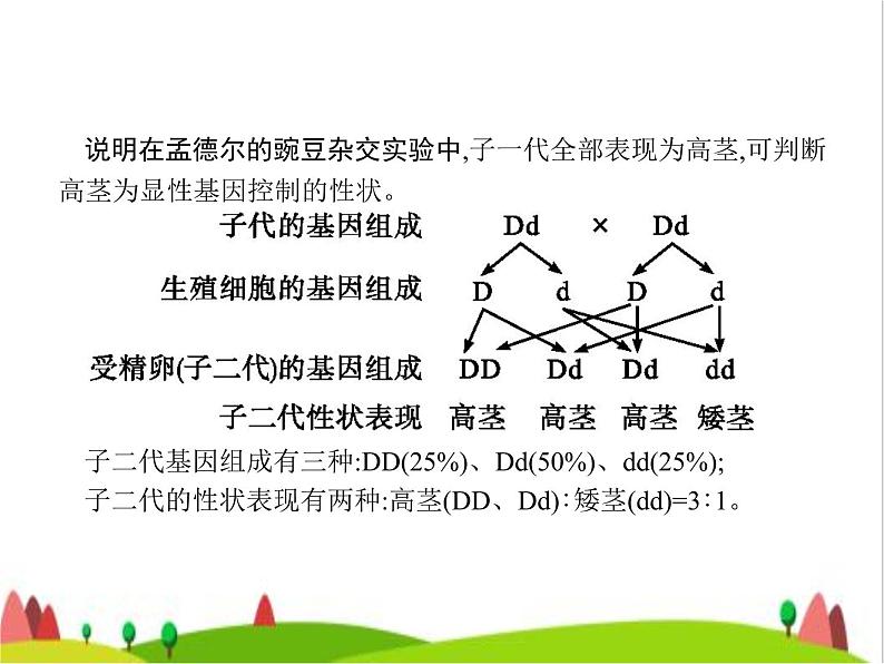 人教版初中生物八年级下册第七单元第二章第三节基因的显性和隐性练习课件05