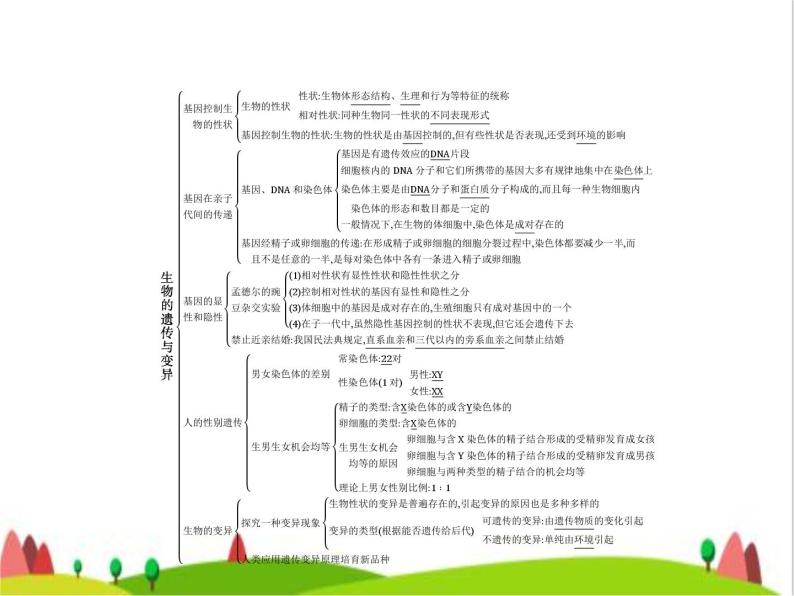 人教版初中生物八年级下册第七单元第二章整合练习课件02