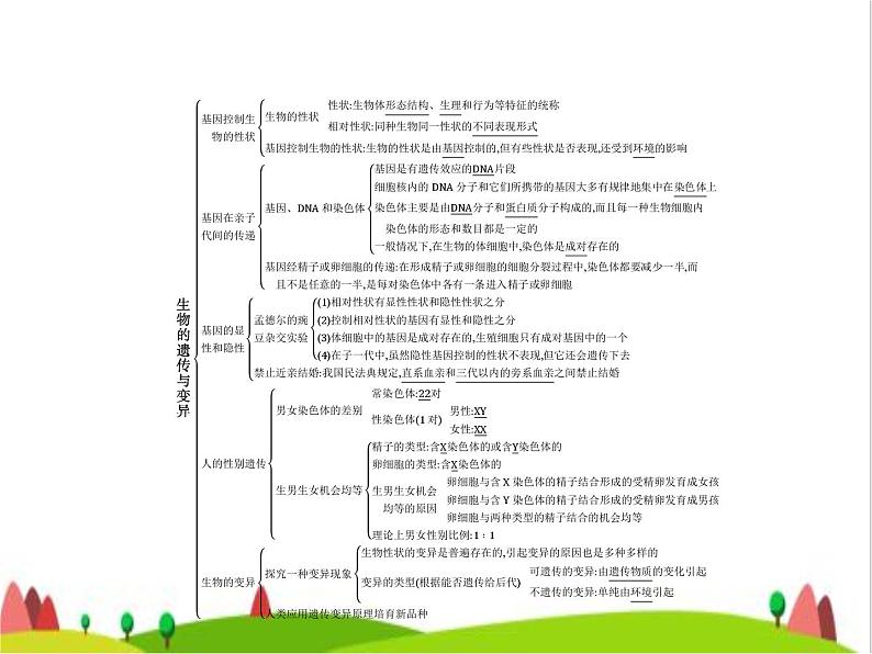 人教版初中生物八年级下册第七单元第二章整合练习课件02