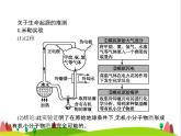 人教版初中生物八年级下册第七单元第三章第一节地球上生命的起源练习课件