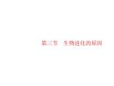人教版初中生物八年级下册第七单元第三章第三节生物进化的原因练习课件