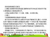人教版初中生物八年级下册第七单元第三章第三节生物进化的原因练习课件