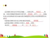 人教版初中生物八年级上册第5单元生物圈中的其他生物第1章第1节腔肠动物和扁形动物练习课件