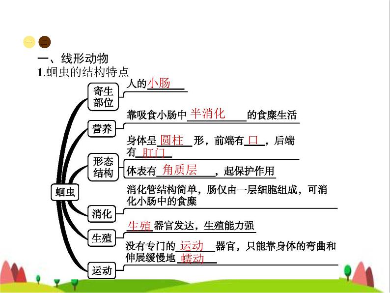 人教版初中生物八年级上册第5单元生物圈中的其他生物第1章第2节线形动物和环节动物练习课件第2页