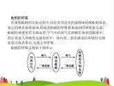 人教版初中生物八年级上册第5单元生物圈中的其他生物第1章第2节线形动物和环节动物练习课件