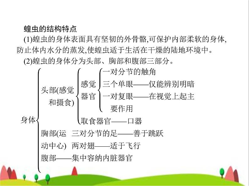 人教版初中生物八年级上册第5单元生物圈中的其他生物第1章第3节软体动物和节肢动物练习课件05