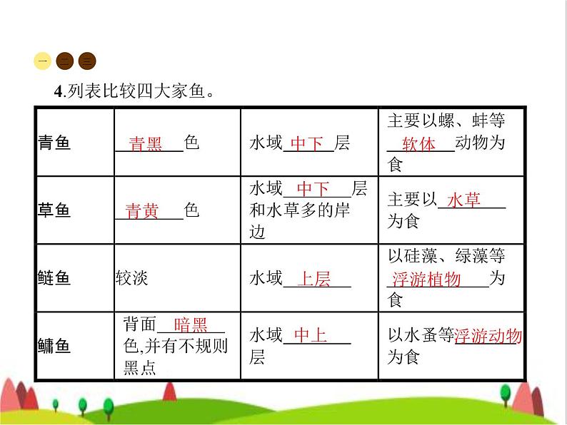 人教版初中生物八年级上册第5单元生物圈中的其他生物第1章第4节鱼练习课件第3页