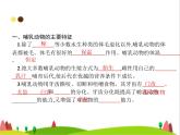 人教版初中生物八年级上册第5单元生物圈中的其他生物第1章第7节哺乳动物练习课件