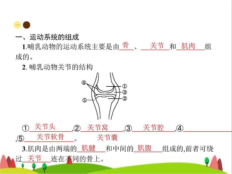 人教版初中生物八年级上册第5单元生物圈中的其他生物第2章第1节动物的运动练习课件02