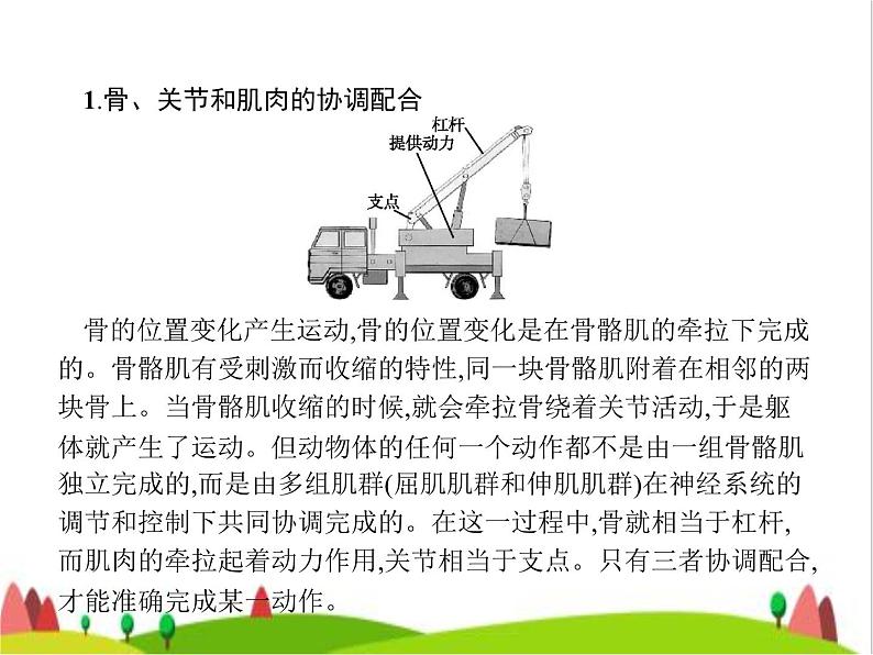 人教版初中生物八年级上册第5单元生物圈中的其他生物第2章第1节动物的运动练习课件05