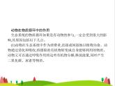 人教版初中生物八年级上册第5单元生物圈中的其他生物第3章动物在生物圈中的作用练习课件