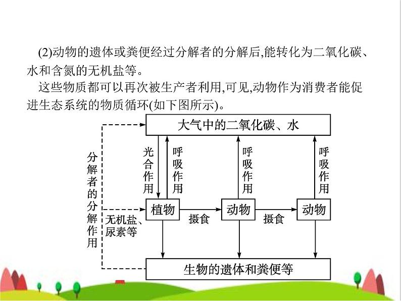 人教版初中生物八年级上册第5单元生物圈中的其他生物第3章动物在生物圈中的作用练习课件06