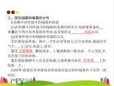 人教版初中生物八年级上册第5单元生物圈中的其他生物第4章第1节细菌和真菌的分布练习课件