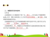 人教版初中生物八年级上册第5单元生物圈中的其他生物第4章第2节细菌练习课件