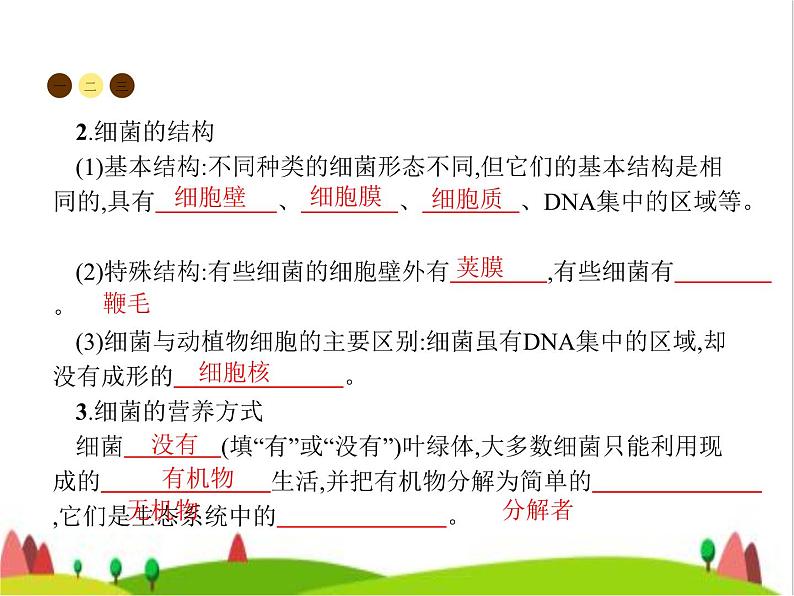 人教版初中生物八年级上册第5单元生物圈中的其他生物第4章第2节细菌练习课件04