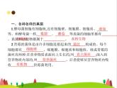 人教版初中生物八年级上册第5单元生物圈中的其他生物第4章第3节真菌练习课件