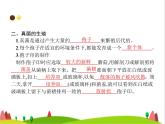 人教版初中生物八年级上册第5单元生物圈中的其他生物第4章第3节真菌练习课件