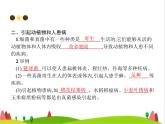 人教版初中生物八年级上册第5单元生物圈中的其他生物第4章第4节细菌和真菌在自然界中的作用练习课件