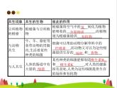人教版初中生物八年级上册第5单元生物圈中的其他生物第4章第4节细菌和真菌在自然界中的作用练习课件