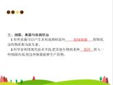 人教版初中生物八年级上册第5单元生物圈中的其他生物第4章第5节人类对细菌和真菌的利用练习课件