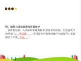 人教版初中生物八年级上册第5单元生物圈中的其他生物第4章第5节人类对细菌和真菌的利用练习课件