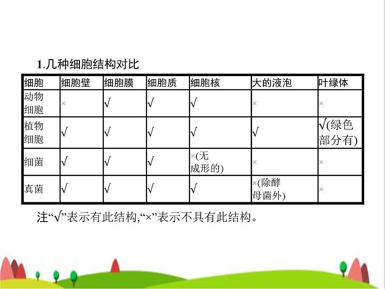 人教版初中生物八年级上册第5单元生物圈中的其他生物第四、五章整合练习课件03