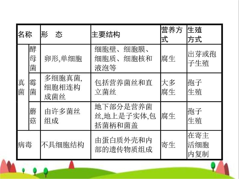 人教版初中生物八年级上册第5单元生物圈中的其他生物第四、五章整合练习课件06