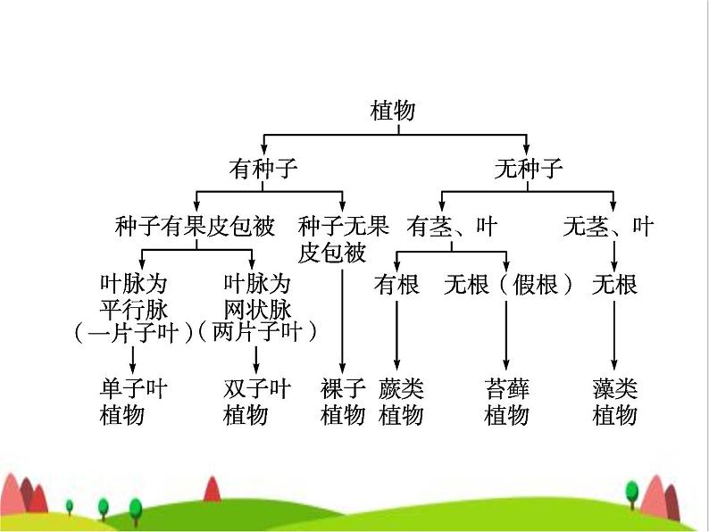 人教版初中生物八年级上册第6单元生物的多样性及其保护第1章第1节尝试对生物进行分类练习课件第6页