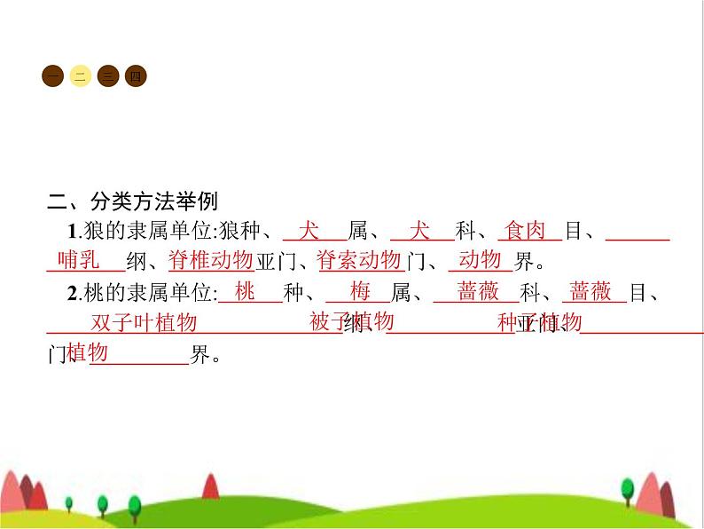 人教版初中生物八年级上册第6单元生物的多样性及其保护第1章第2节从种到界练习课件03