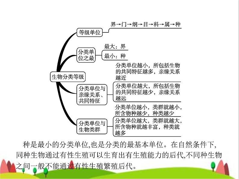 人教版初中生物八年级上册第6单元生物的多样性及其保护第1章第2节从种到界练习课件06