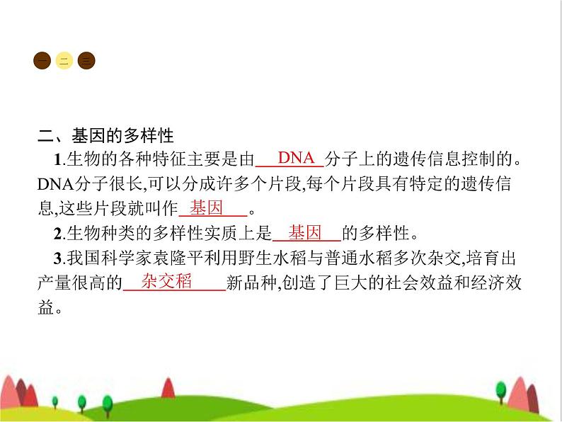 人教版初中生物八年级上册第6单元生物的多样性及其保护第2章认识生物的多样性练习课件03