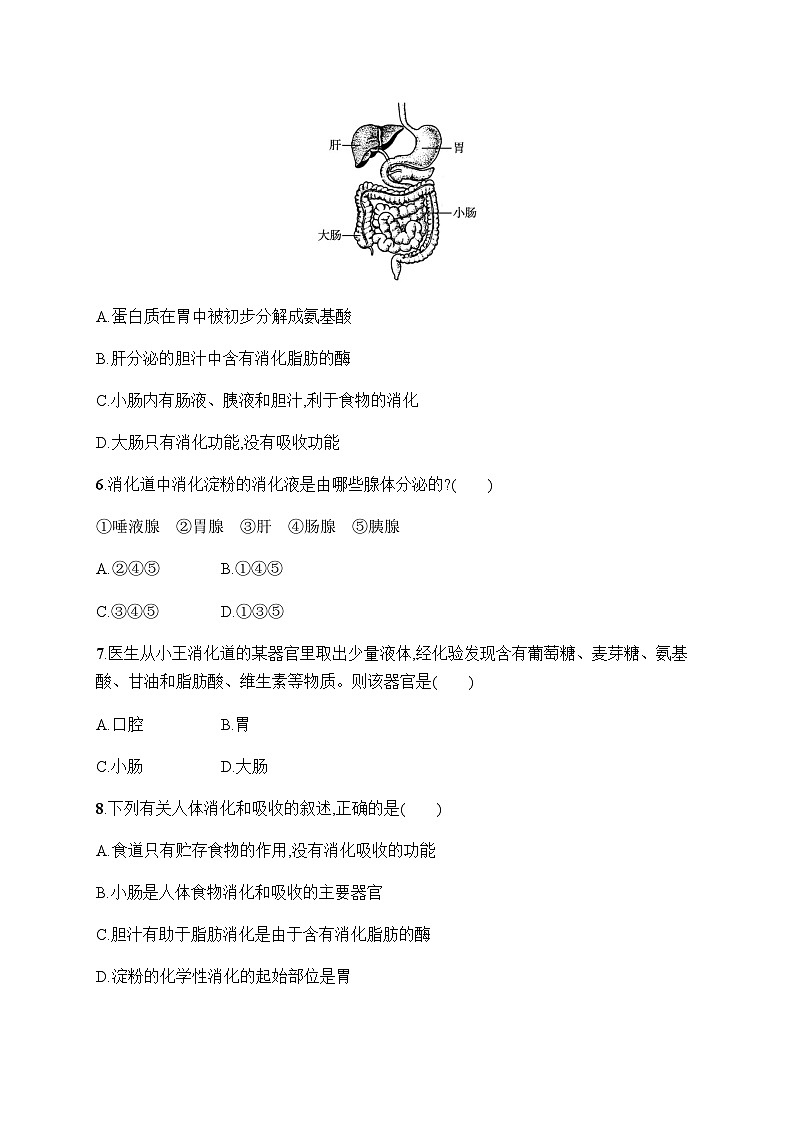 人教版初中生物七年级下册第2章第2节消化和吸收练习含答案第2页