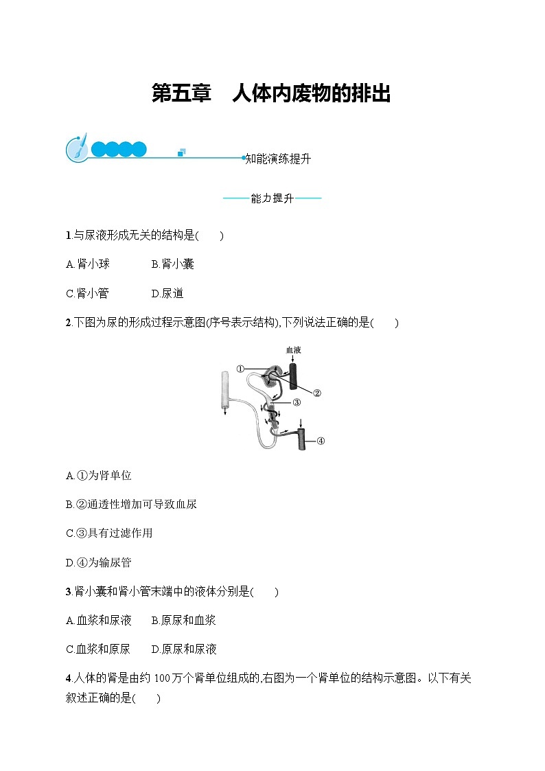 人教版初中生物七年级下册第5章人体内废物的排出练习含答案第1页