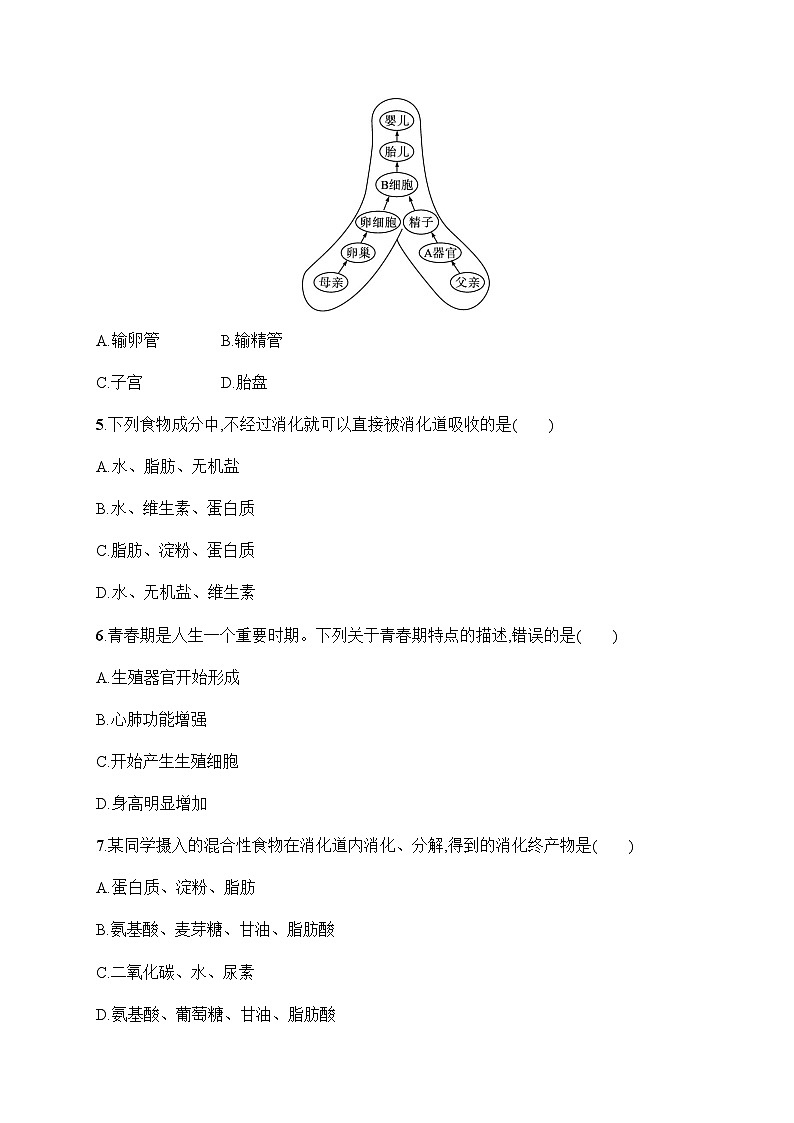 人教版初中生物七年级下册期中综合训练(一)含答案第2页