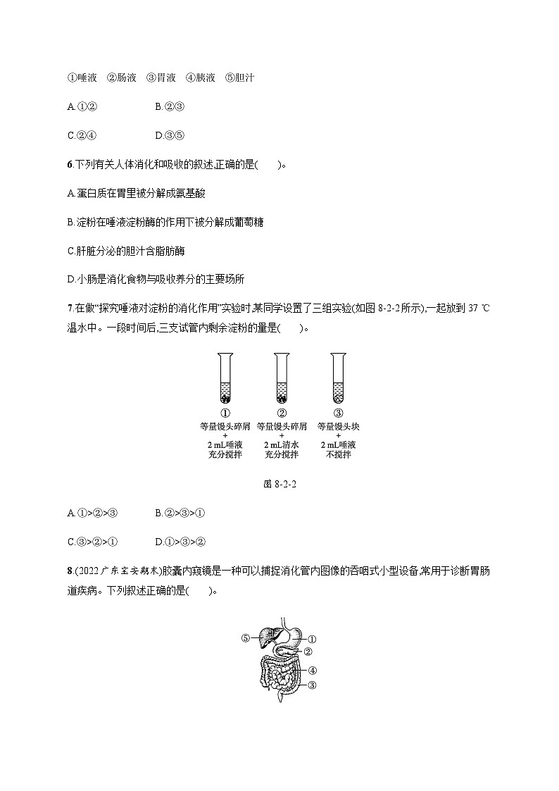 北师版初中生物七年级下册第8章人体的营养第2节食物的消化和营养物质的吸收练习含答案第2页
